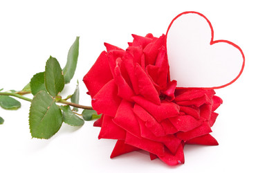 Similar image 310242