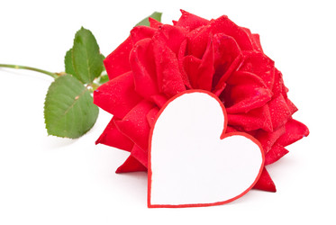 Similar image 310244