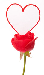 Similar image 310248