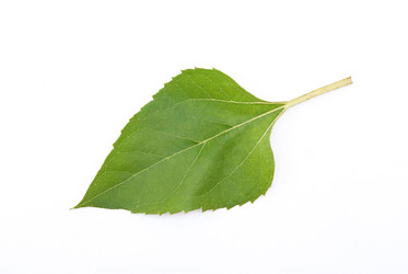 Similar image 310250