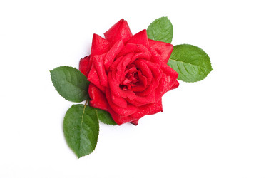 Similar image 310260