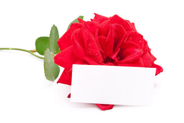 Similar image 310270