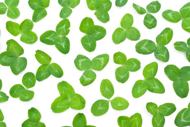 Similar image 310276