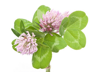 Similar image 310283