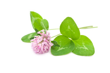 Similar image 310288