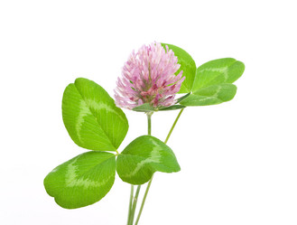 Similar image 310290