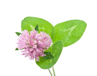 Similar image 310292