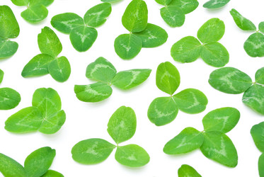 Similar image 310304