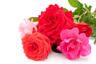 Similar image 310316