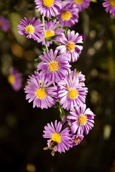 Similar image 310317