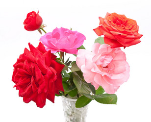 Similar image 310323