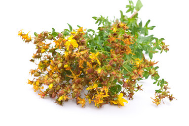 Similar image 310325