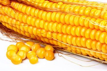 Similar image 310332