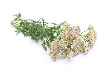 Similar image 310336