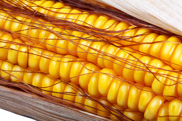 Similar image 310338