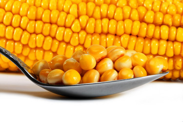 Similar image 310344