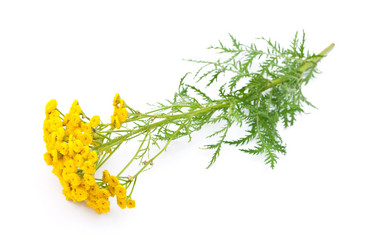 Similar image 310345