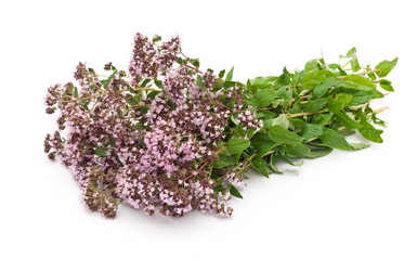 Similar image 310362