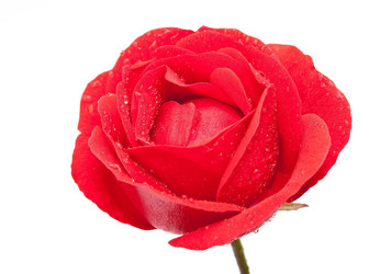 Similar image 310364