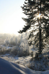 Similar image 310366