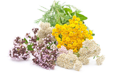 Similar image 310367