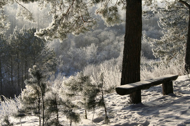 Similar image 310370