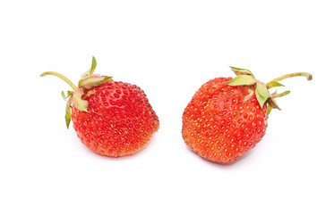 Similar image 310378