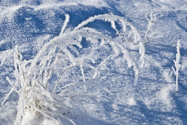 Similar image 310387