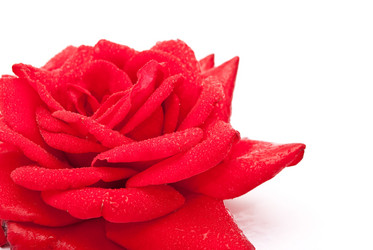 Similar image 310404