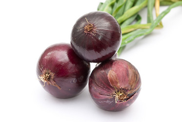 Similar image 310406