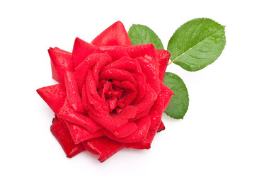 Similar image 310409