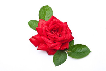 Similar image 310416