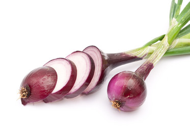 Similar image 310417