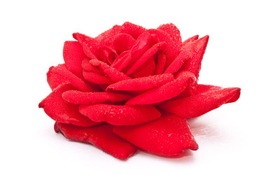 Similar image 310419