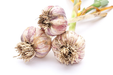 Similar image 310421