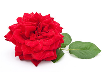 Similar image 310422