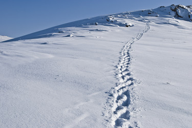 Similar image 310424