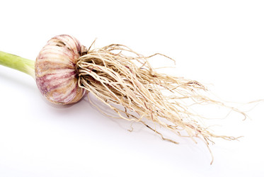 Similar image 310426