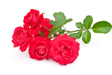 Similar image 310428