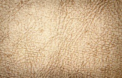 Similar image 310444