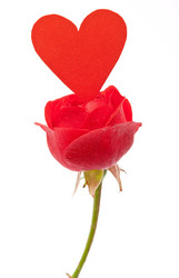 Similar image 310458