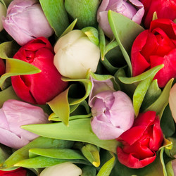 Similar image 310465