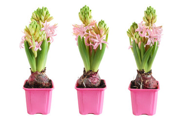 Similar image 310466