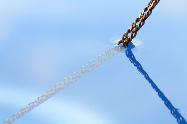 Similar image 310488