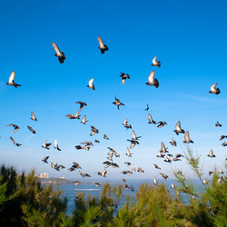 Similar image 310491