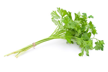 Similar image 310501