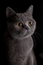 Similar image 310522