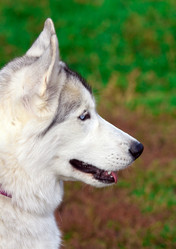 Similar image 310527