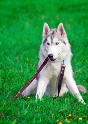 Similar image 310533