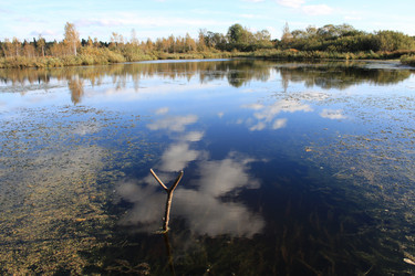 Similar image 310537